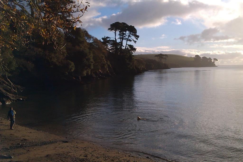 Fig Tree House Bed and Breakfast Penryn Buitenkant foto